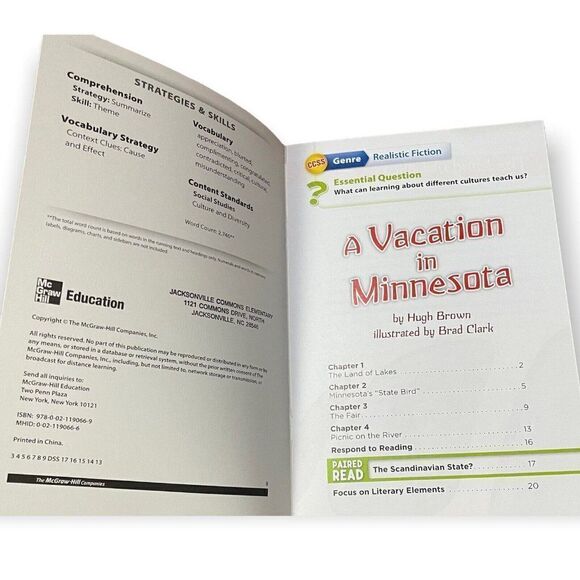 A Vacation In Minnesota By Hugh Brown Illustrated By Brad Clark Children's Book - Picture 2 of 3